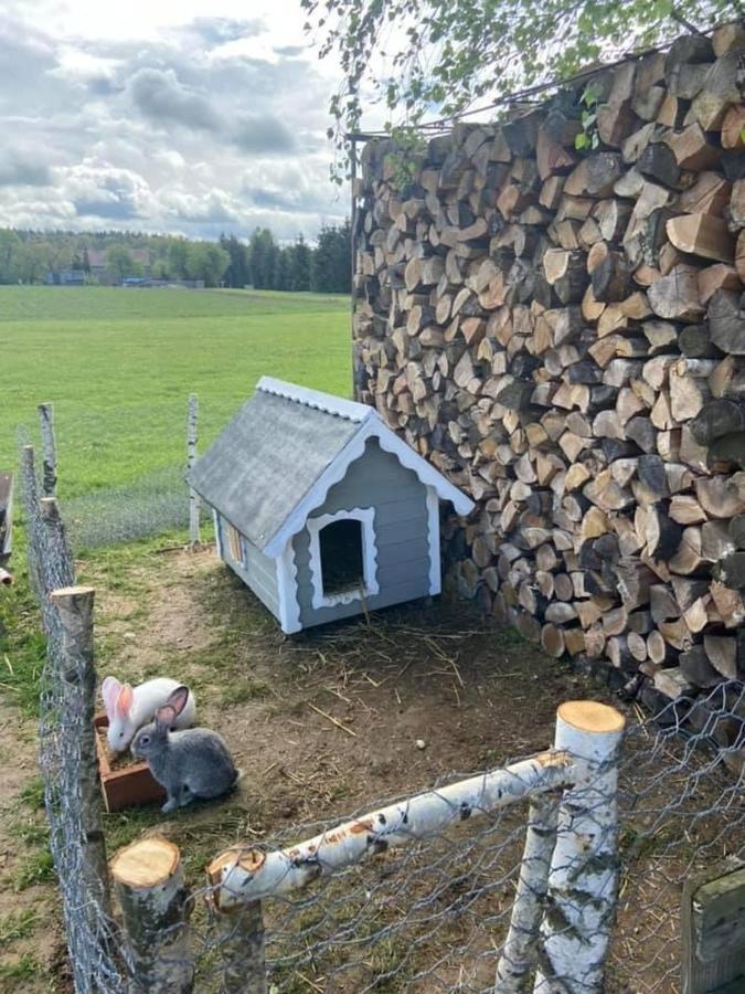 Domek Na Uboczu Gryfów Śląski Екстериор снимка
